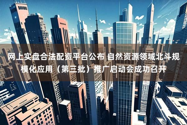 网上实盘合法配资平台公布 自然资源领域北斗规模化应用（第三批）推广启动会成功召开